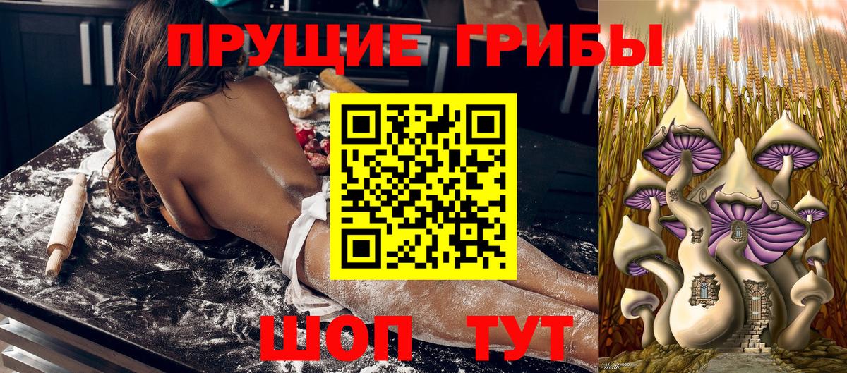 Псилоцибиновые грибы мухоморы Благовещенск