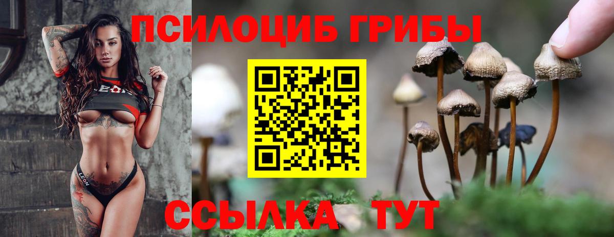 Псилоцибиновые грибы Cubensis  Вход с VPN  купить наркотики сайты  Благовещенск 